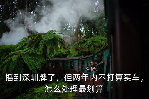 搖到深圳牌了，但兩年內(nèi)不打算買車，怎么處理最劃算