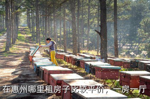 在惠州哪里租房子比較平價，一房一廳