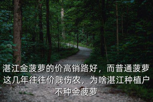 湛江金菠蘿的價高銷路好，而普通菠蘿這幾年往往價賤傷農(nóng)，為啥湛江種植戶不種金菠蘿