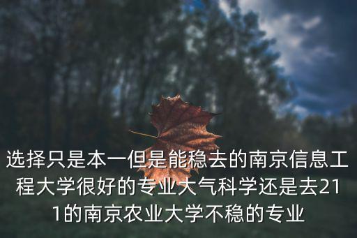 選擇只是本一但是能穩(wěn)去的南京信息工程大學(xué)很好的專業(yè)大氣科學(xué)還是去211的南京農(nóng)業(yè)大學(xué)不穩(wěn)的專業(yè)