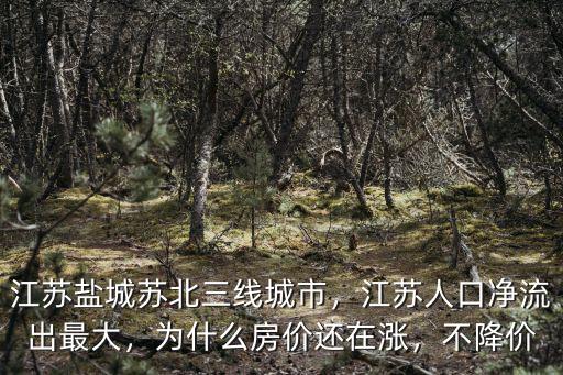 2016鹽城城市人口多少,江蘇鹽城蘇北三線城市