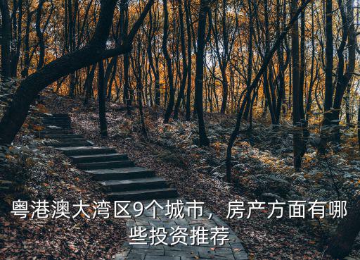 粵港澳大灣區(qū)9個城市，房產(chǎn)方面有哪些投資推薦