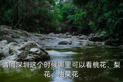 請問深圳這個時候哪里可以看桃花、梨花、油菜花