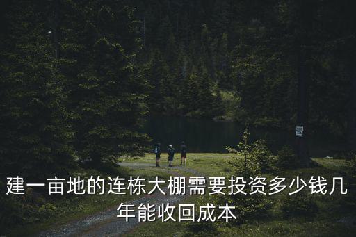 建一畝地的連棟大棚需要投資多少錢幾年能收回成本
