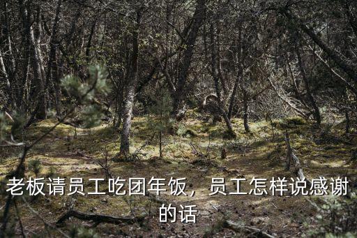 廣東話老板請客怎么說,老板請員工吃團年飯