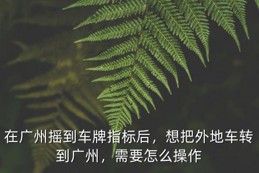 廣州放棄指標(biāo)重新?lián)u號怎么操作,在廣州搖到車牌指標(biāo)后