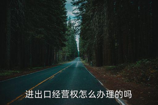 深圳哪里辦進出口經(jīng)營權,在深圳辦理進出口權費用高嗎