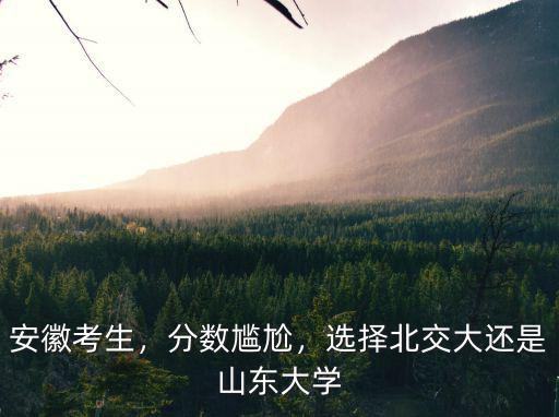 安徽考生，分數(shù)尷尬，選擇北交大還是山東大學