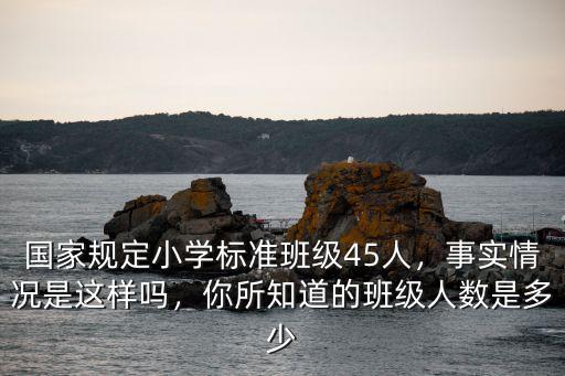 國家規定小學標準班級45人，事實情況是這樣嗎，你所知道的班級人數是多少