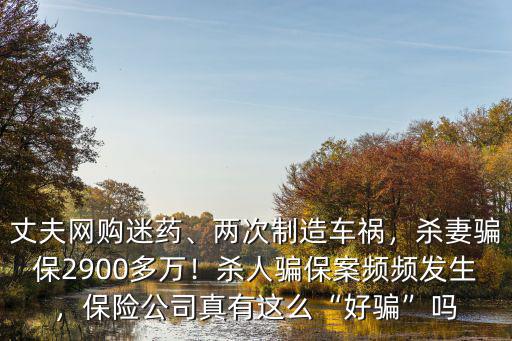 南京騙保殺人案保險公司賠了多少,殺妻騙保2900多萬