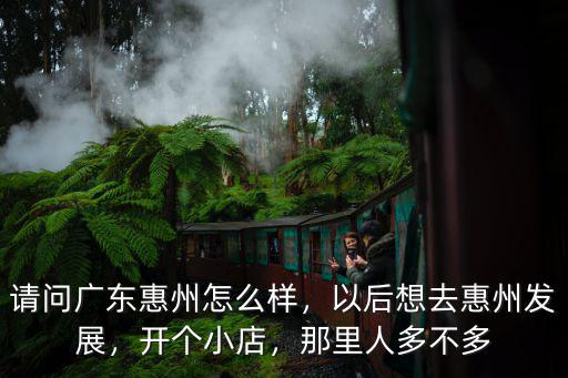 惠州博羅怎么那么多人,惠州為什么建那么多房子