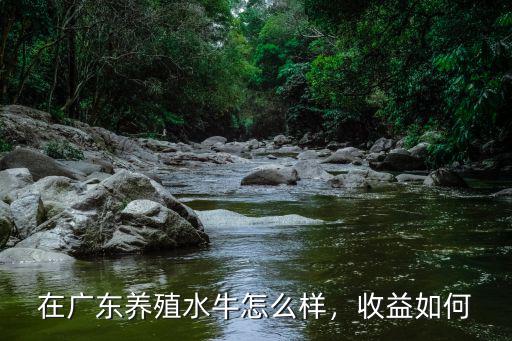 廣東海威養(yǎng)殖怎么樣,在廣東養(yǎng)殖水牛怎么樣