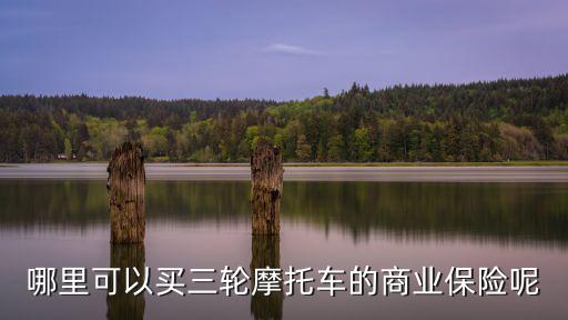 哪里可以買三輪摩托車的商業(yè)保險(xiǎn)呢