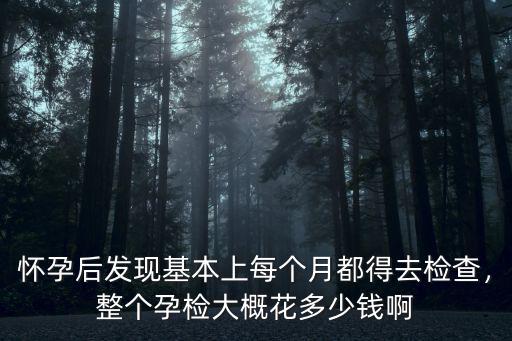 懷孕后發(fā)現(xiàn)基本上每個月都得去檢查，整個孕檢大概花多少錢啊