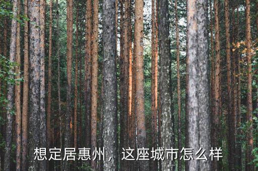 惠州悅途怎么樣,惠州博羅縣發展的怎么樣