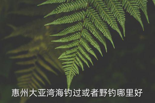 惠州渡口哪里好釣魚,惠州這時(shí)候怎么好釣魚