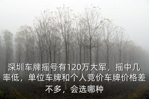 深圳車牌搖號有120萬大軍，搖中幾率低，單位車牌和個人競價車牌價格差不多，會選哪種