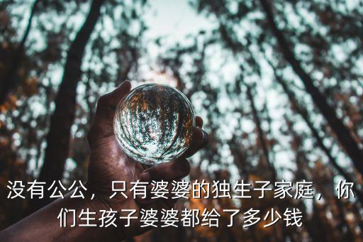 沒有公公，只有婆婆的獨生子家庭，你們生孩子婆婆都給了多少錢