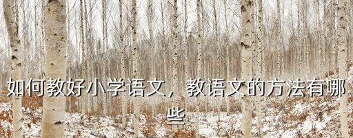 佛山哪里有教小學(xué)語文的,如何教好小學(xué)語文
