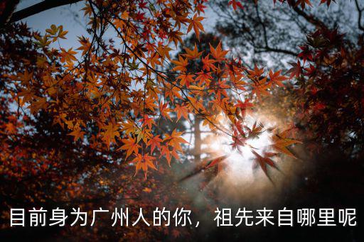 廣州人的祖先是哪里人,青島人的祖先是誰