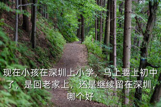 東莞小學(xué)和深圳小學(xué)怎么樣,深圳小學(xué)什么時候能開學(xué)