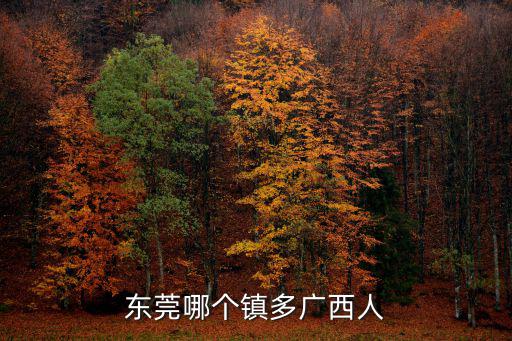 潘新潮東莞哪里人,東莞哪個鎮多廣西人