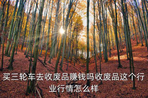 買三輪車去收廢品賺錢嗎收廢品這個(gè)行業(yè)行情怎么樣