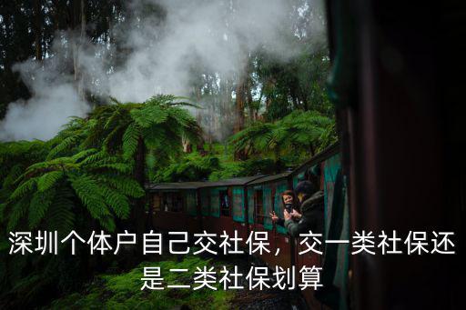 深圳社保一二三類繳費多少錢,深圳社保一二三檔費用