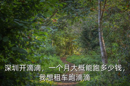 深圳開滴滴，一個月大概能跑多少錢，我想租車跑滴滴