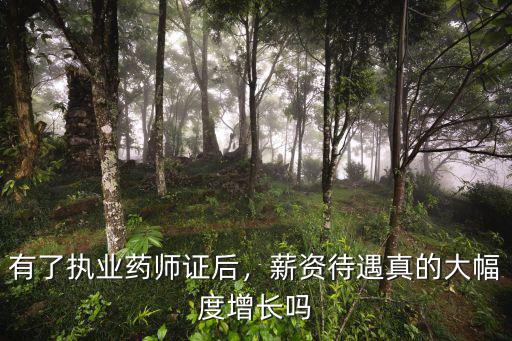有了執業藥師證后，薪資待遇真的大幅度增長嗎