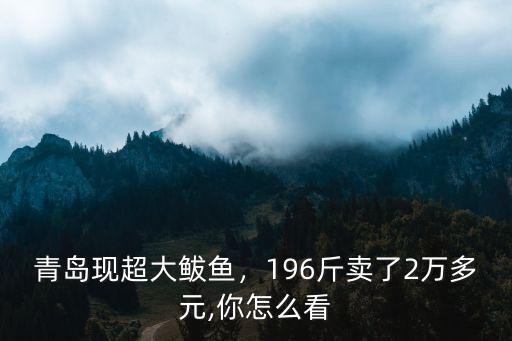 青島現(xiàn)超大鲅魚(yú)，196斤賣(mài)了2萬(wàn)多元,你怎么看