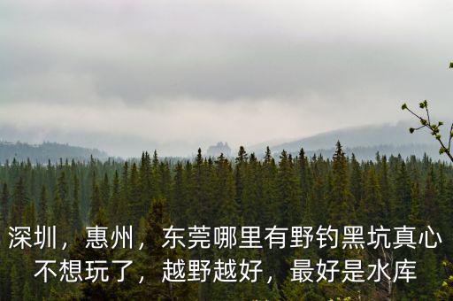 深圳，惠州，東莞哪里有野釣黑坑真心不想玩了，越野越好，最好是水庫