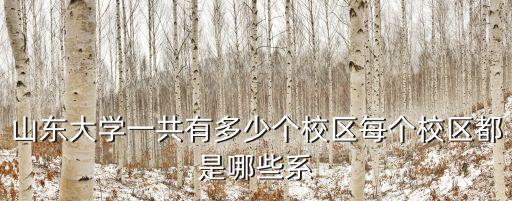 山東大學一共有多少個校區每個校區都是哪些系