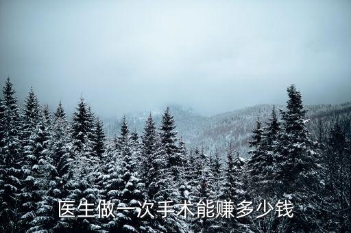 醫(yī)生做一次手術(shù)能賺多少錢