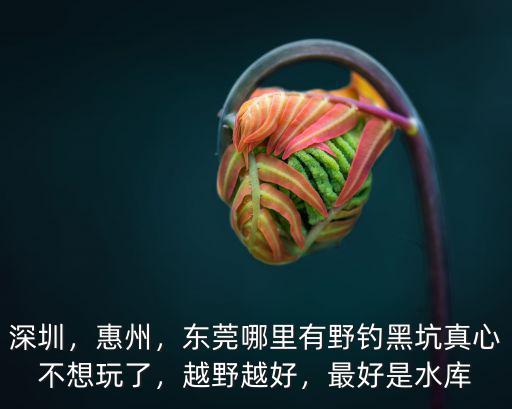 深圳，惠州，東莞哪里有野釣黑坑真心不想玩了，越野越好，最好是水庫(kù)