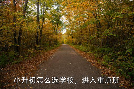 廣州市小升初怎么選擇學校,小升初怎么選學校