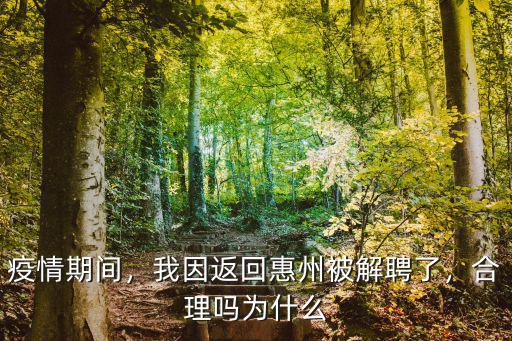 廣東惠州哪里解封了,我因返回惠州被解聘了