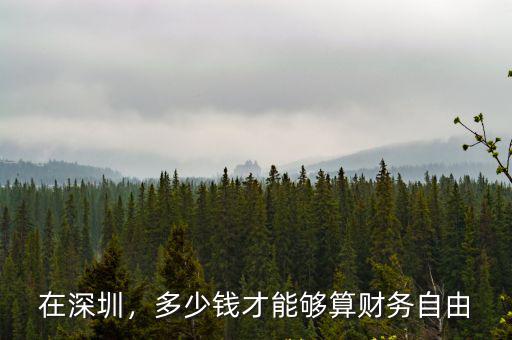 深圳個人有多少錢實現財務自由,每年凈收入多少才算財務自由