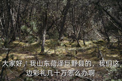 大家好，我山東菏澤巨野縣的，我們這邊彩禮幾十萬怎么辦啊