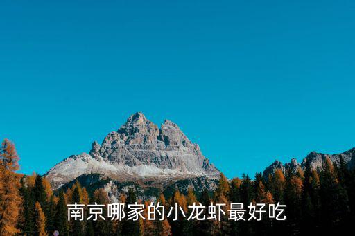 南京哪家的小龍蝦最好吃