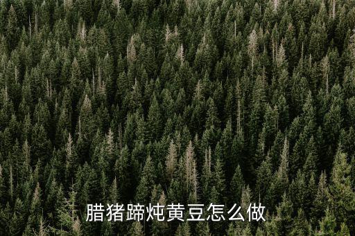 臘豬蹄燉黃豆怎么做