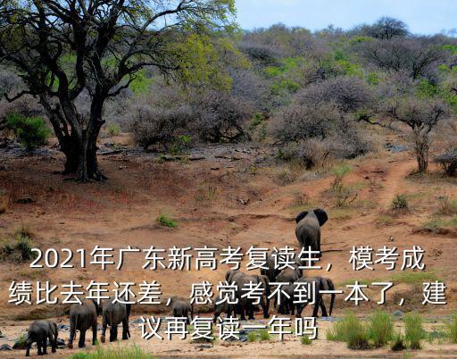 新高考廣東怎么復讀,2021年廣東新高考復讀生