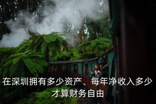 深圳財務自由需要多少錢,每年凈收入多少才算財務自由