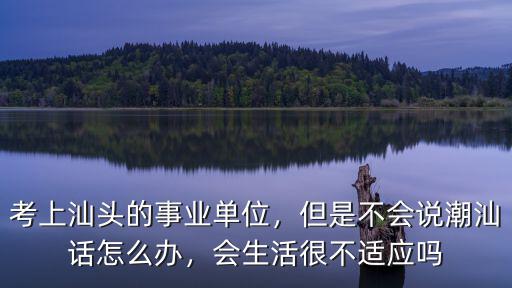 怎么用潮汕話稱贊汕頭人,但是不會說潮汕話怎么辦