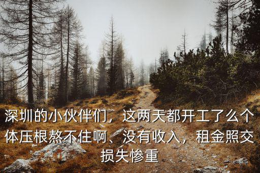 深圳個體工商戶怎么復工,深圳的小伙伴們