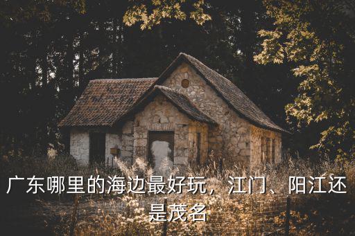 廣東哪里的海邊最好玩，江門、陽江還是茂名