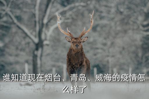 誰知道現在煙臺、青島、威海的疫情怎么樣了