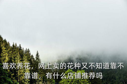 中山哪里有賣百合花種球的,百合花種球是哪里長出來的