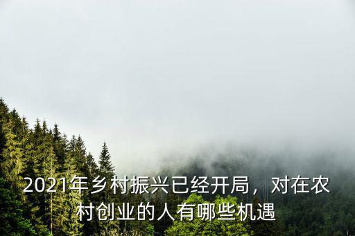 廣州鄉村振興2021怎么規劃,2021年鄉村振興已經開局