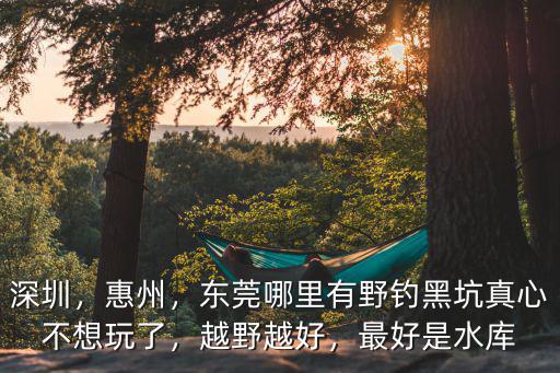深圳，惠州，東莞哪里有野釣黑坑真心不想玩了，越野越好，最好是水庫